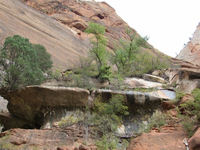 Zion National Park, Utah, bevy of books, rock hound, geology